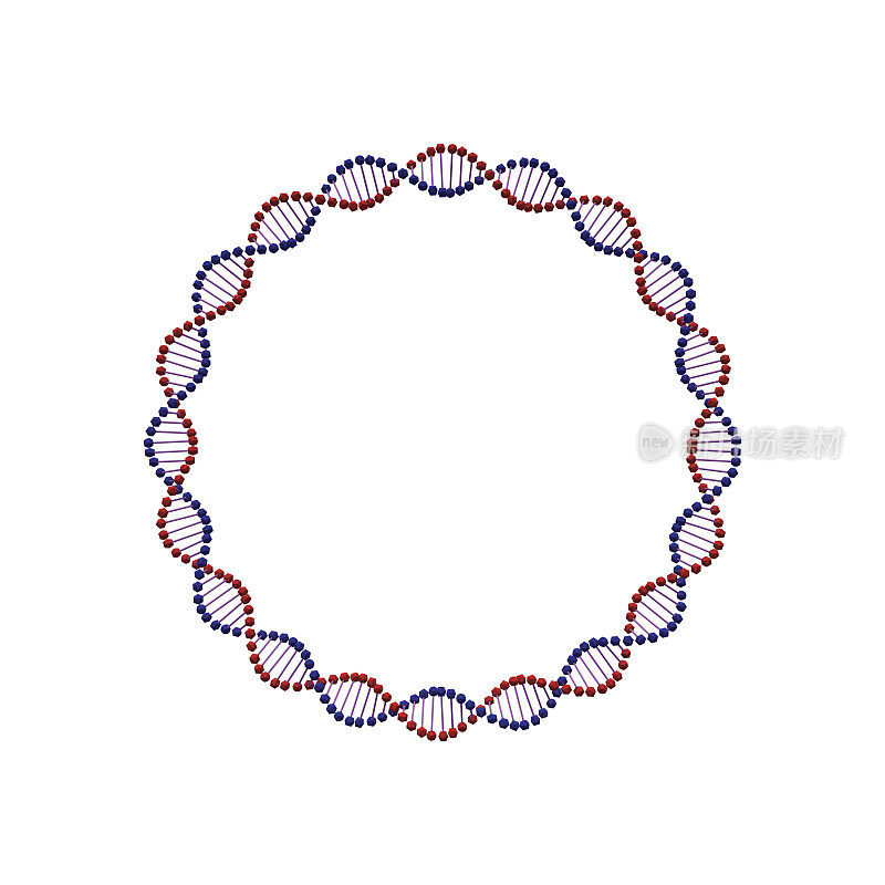 摘要DNA spiral.Circle。孤立在白色背景上。矢量插图。